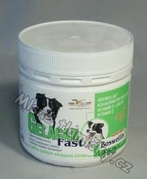 Gelacan Fast 150g