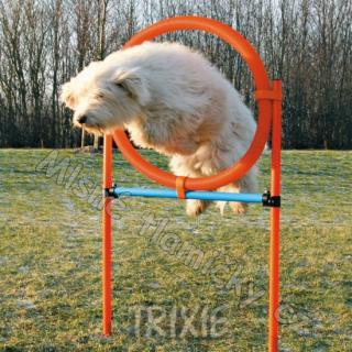 AGILITY kruh proskakovací Modrá/Oranžová 78x115cm TR